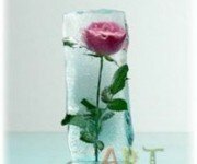    Ледяная роза в подарок любимой      